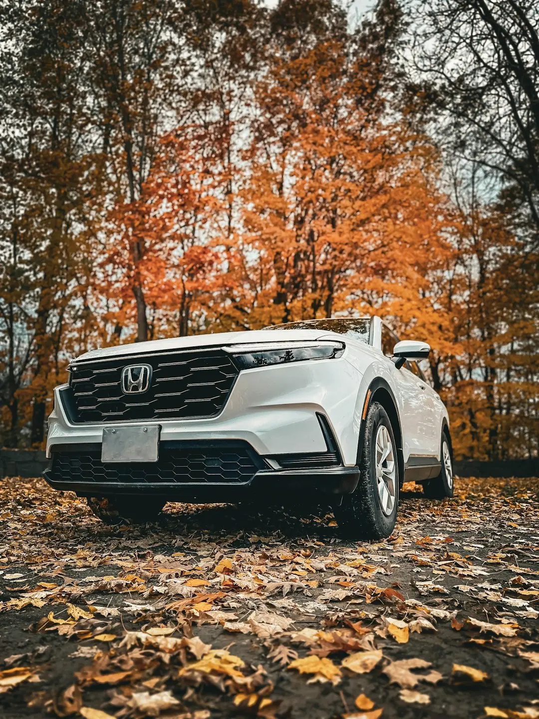 Top 5 SUVs for Trinidad & Tobago Roads